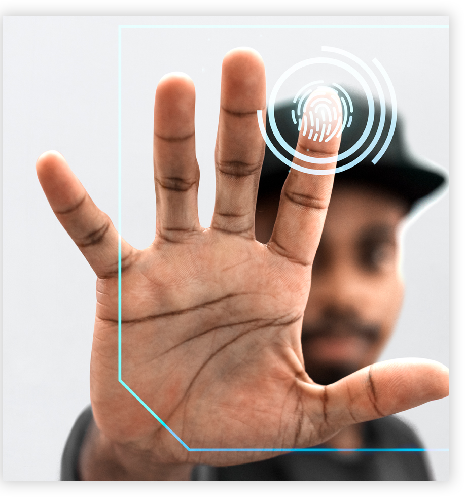 Sistemas de Identificación Biométrica