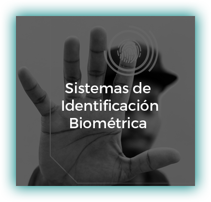 Sistemas de Identificación Biométrica